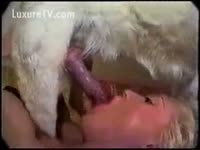 [ Zoo Sex ] Fat Chick Fucked By Pooch
